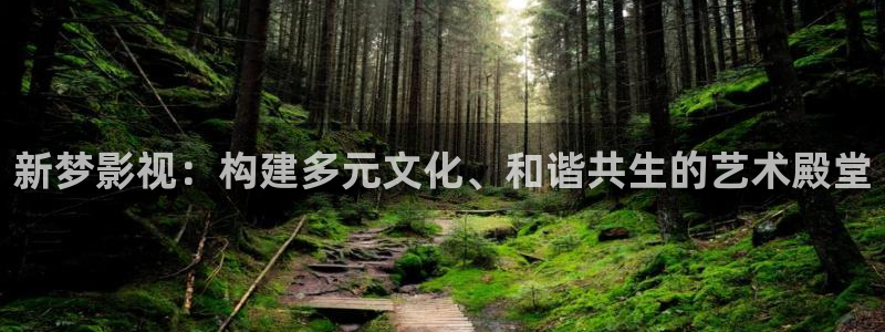 久久不卡免费视频