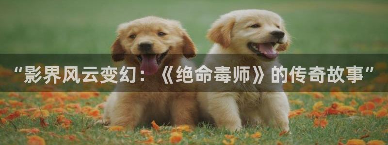 日本免费高清视频不卡：“影界风云变幻：《绝命毒师》的传奇故事”