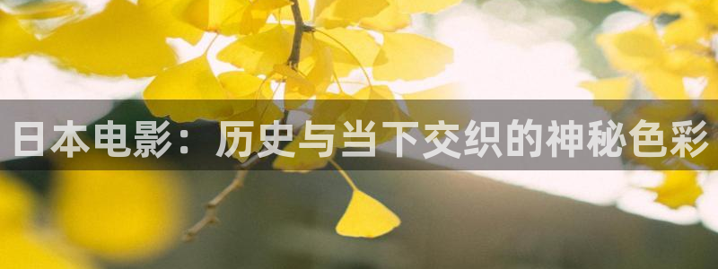 国内精品视频在线播放不卡：日本电影：历史与当下交织的神秘色彩