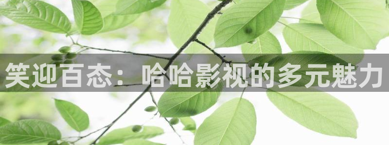 国产不卡 在线视频：笑迎百态：哈哈影视的多元魅力
