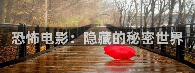 我不卡视频一区二区