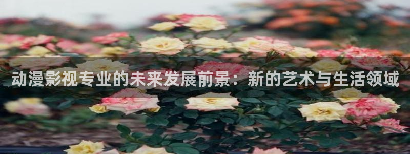 不卡手机在线观看影院：动漫影视专业的未来发展前景：新的艺术与生活领域